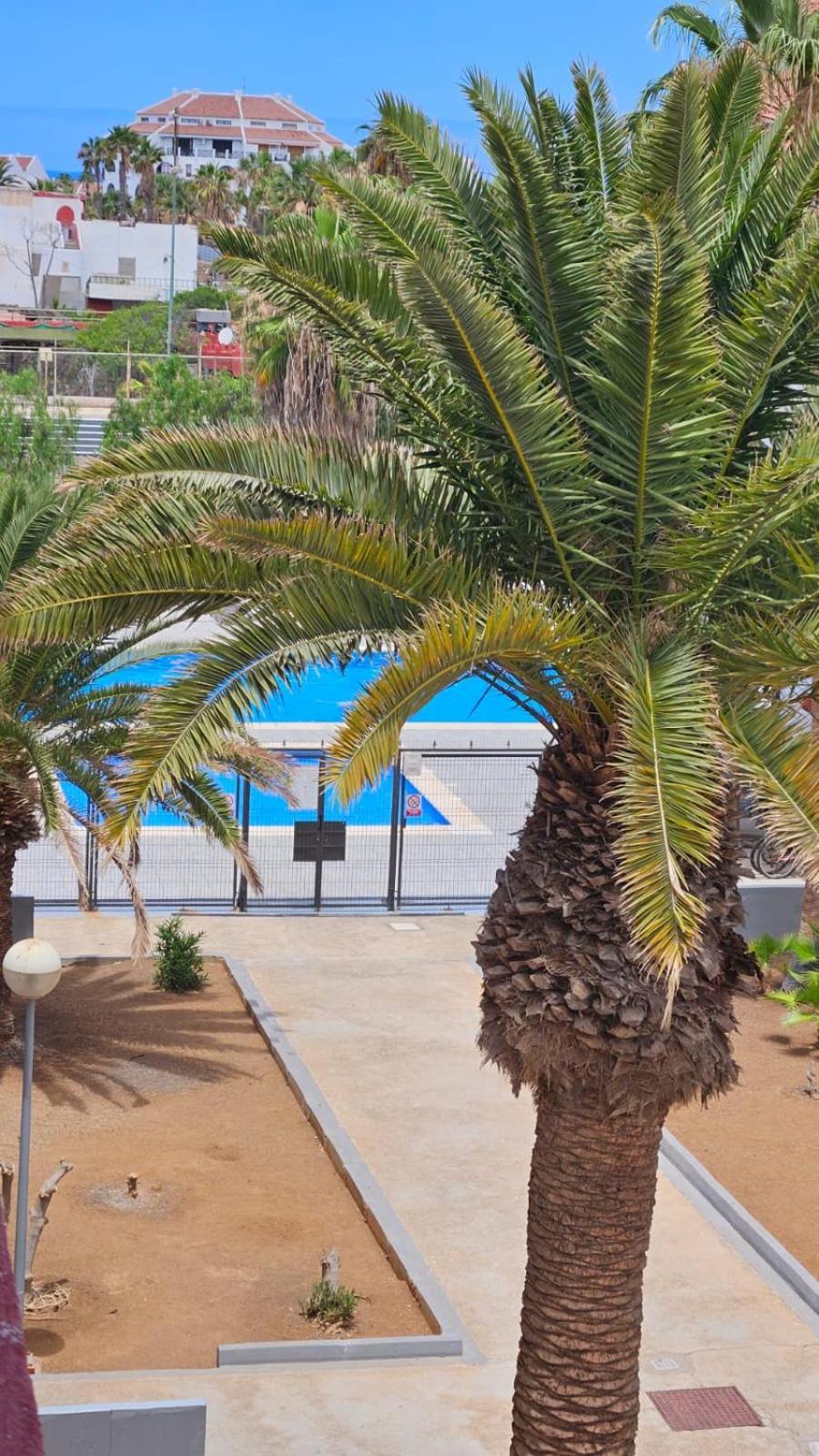 Paraiso Altemar, Duplex Las Americas Playa de las Americas  Eksteriør bilde